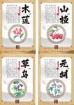 秋养肺春夏秋冬四季养生中医海报