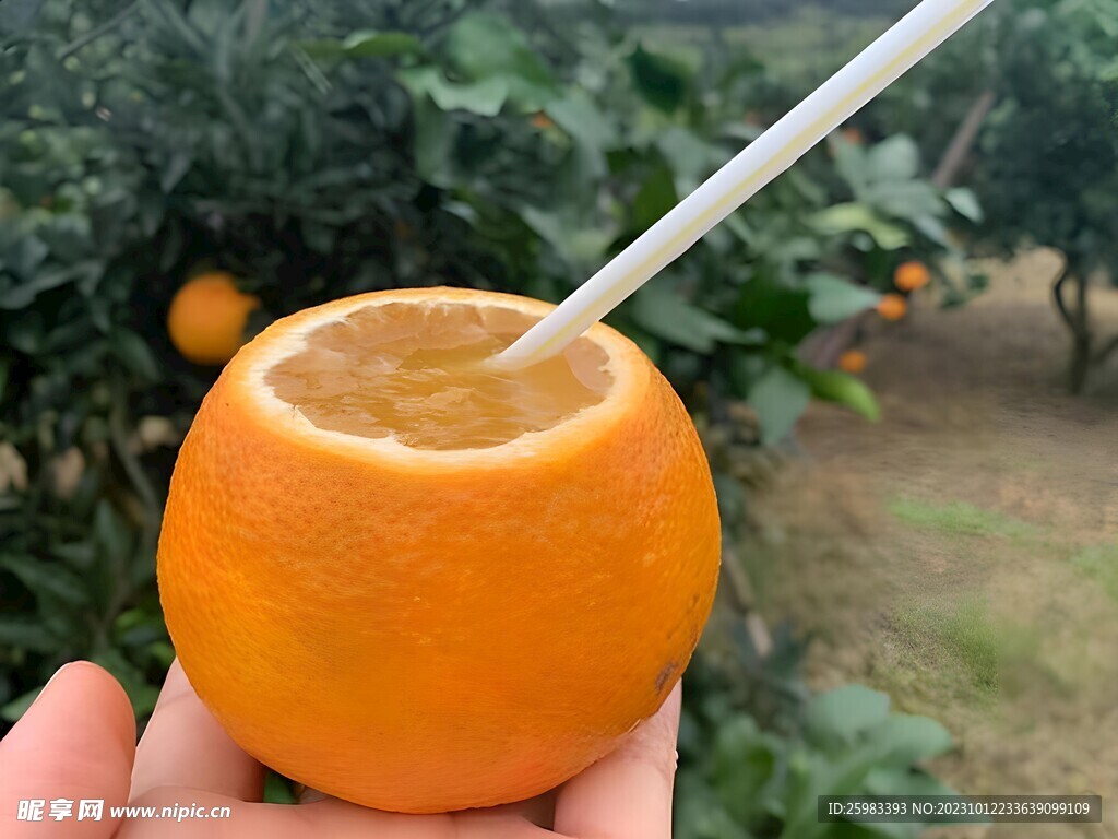 橙子