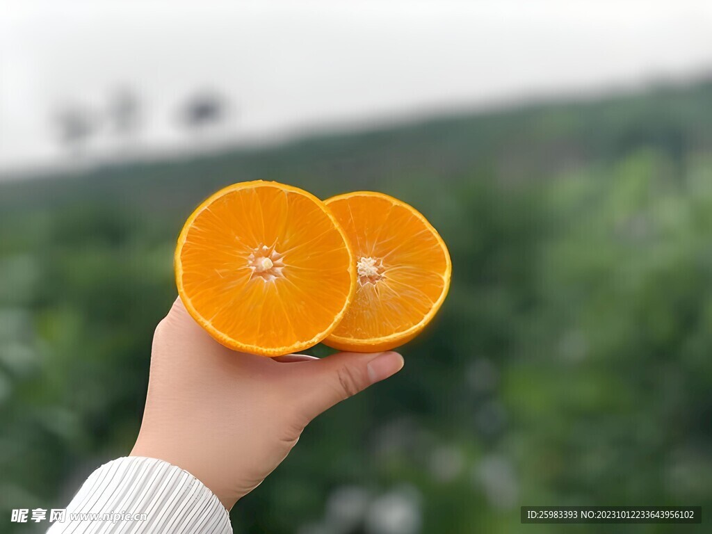橙子