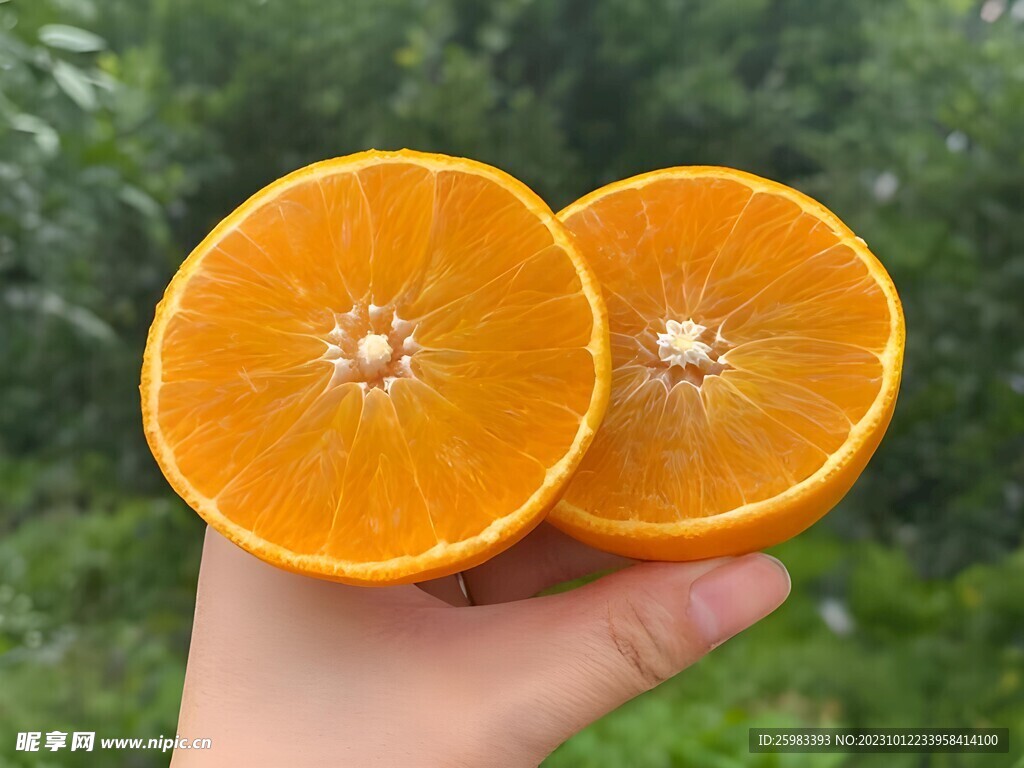 橙子