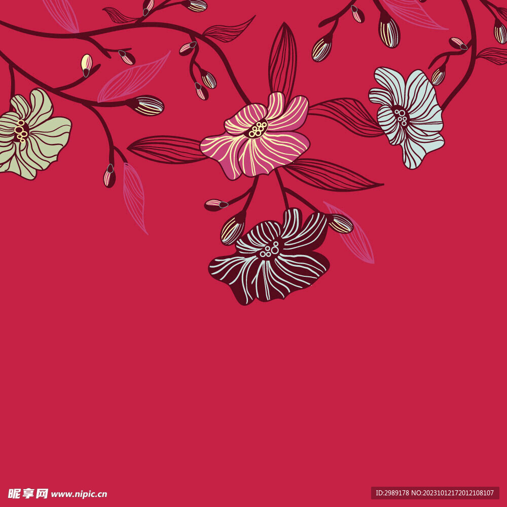 线条花 唯美花朵