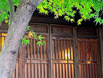房前屋后