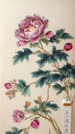 花墙，碎花，刺绣，清新，布满，桌面