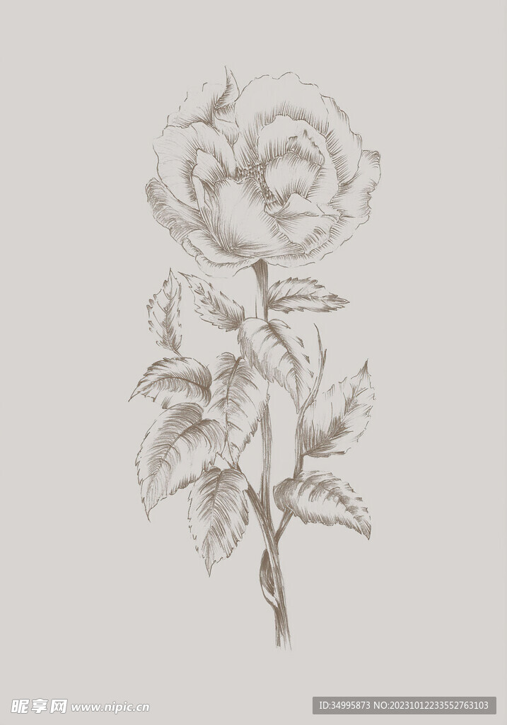黑白线花朵