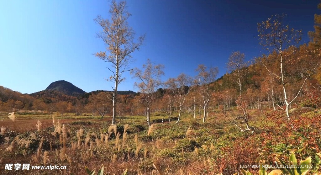 自然风景