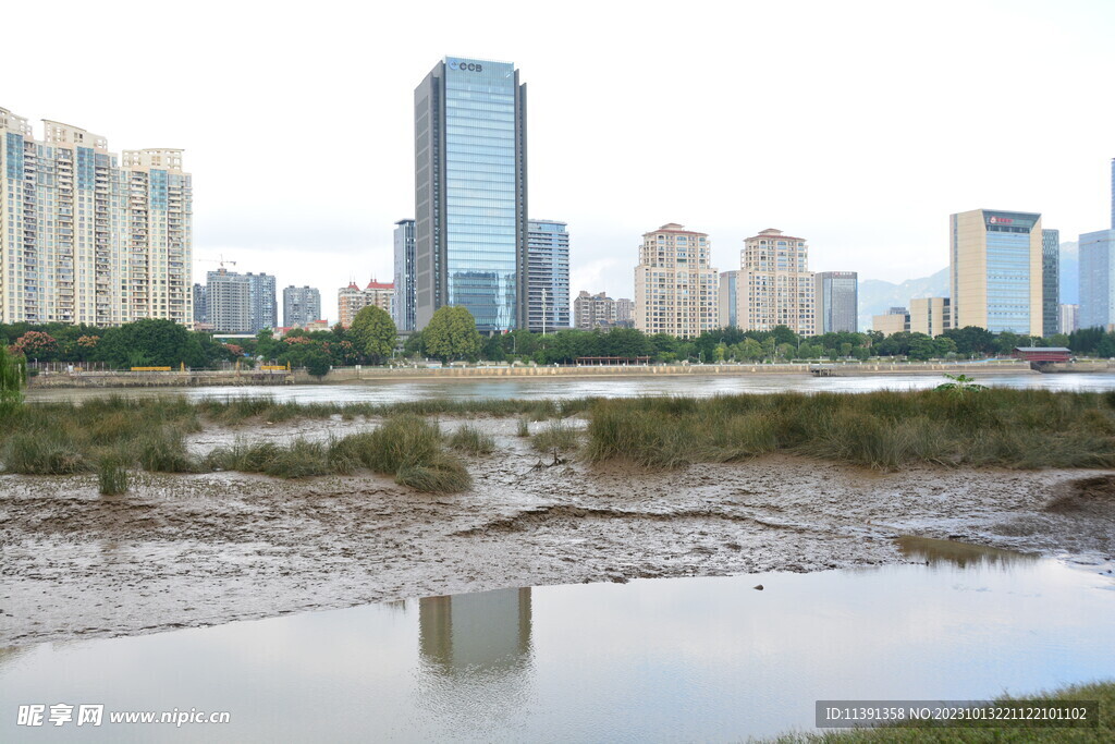 城市建筑内河湿地