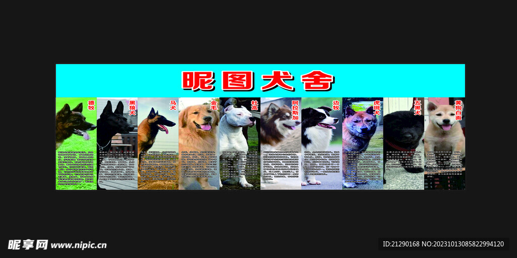 犬舍