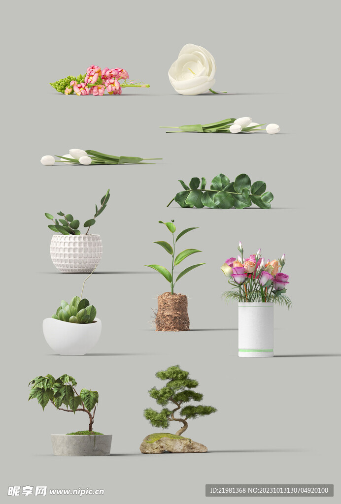 盆栽 