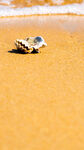山东威海东浦湾海浪沙滩牡蛎壳