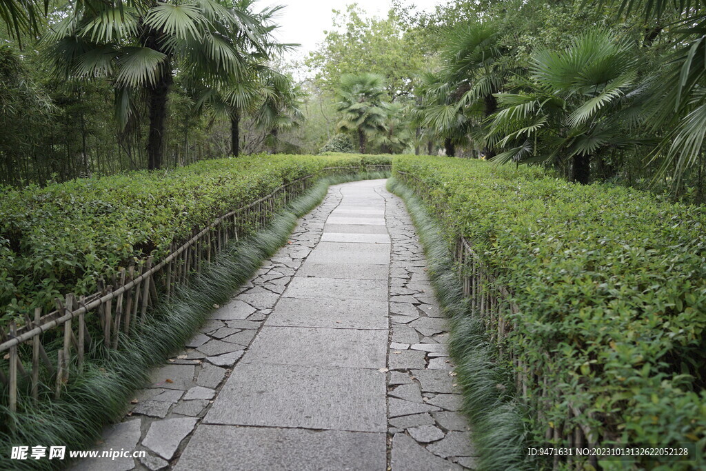 西溪湿地步道