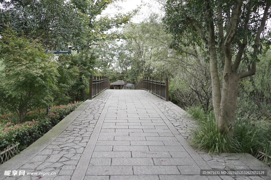 西溪湿地步道  