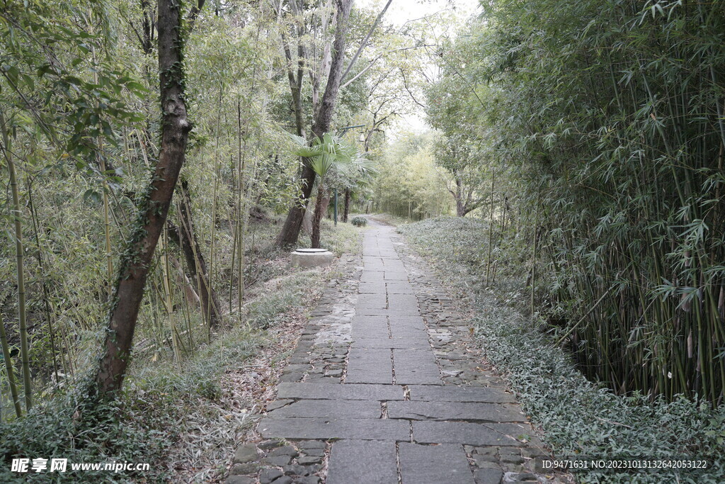 西溪湿地步道  