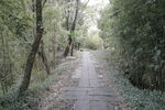 西溪湿地步道 