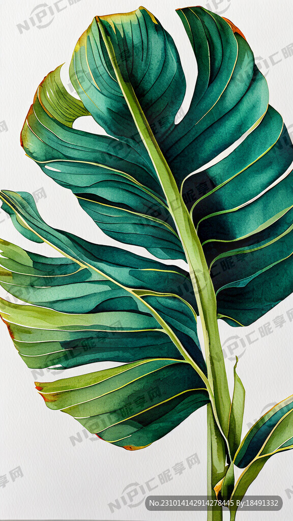 超高清 细节刻画 绿叶植被