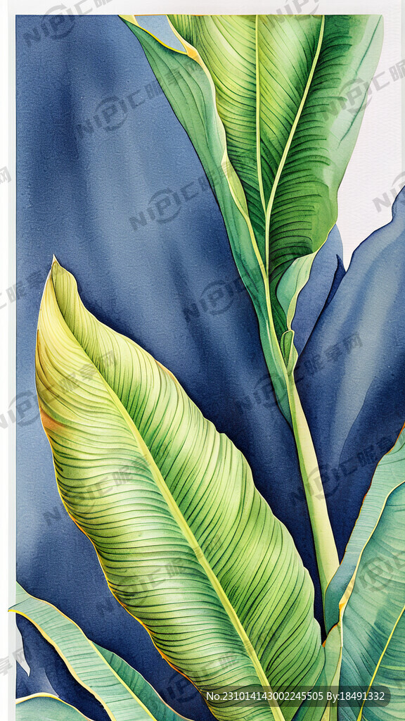 超高清 细节刻画 绿叶植被