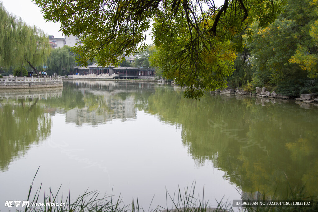公园风景