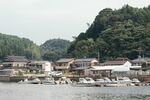 码头