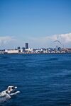 大海