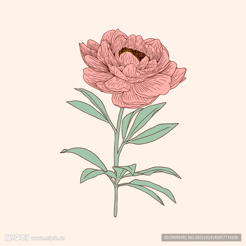 手绘花卉