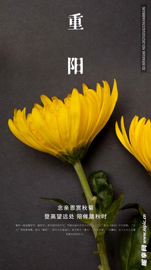 重阳节