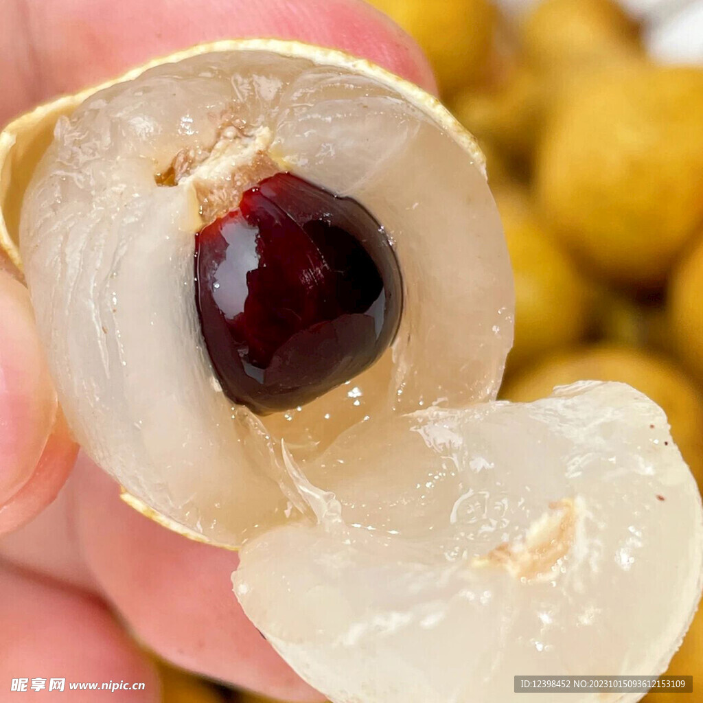 桂圆