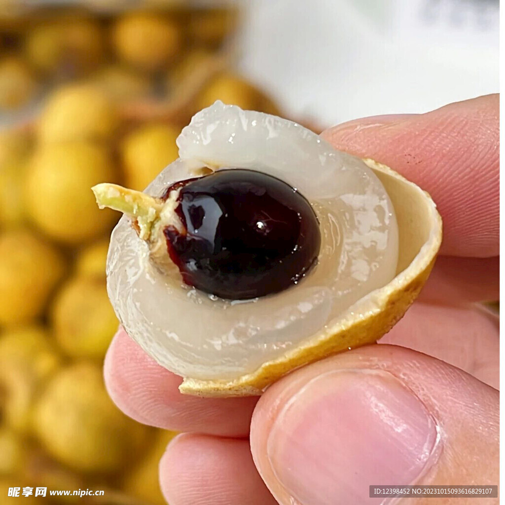 桂圆