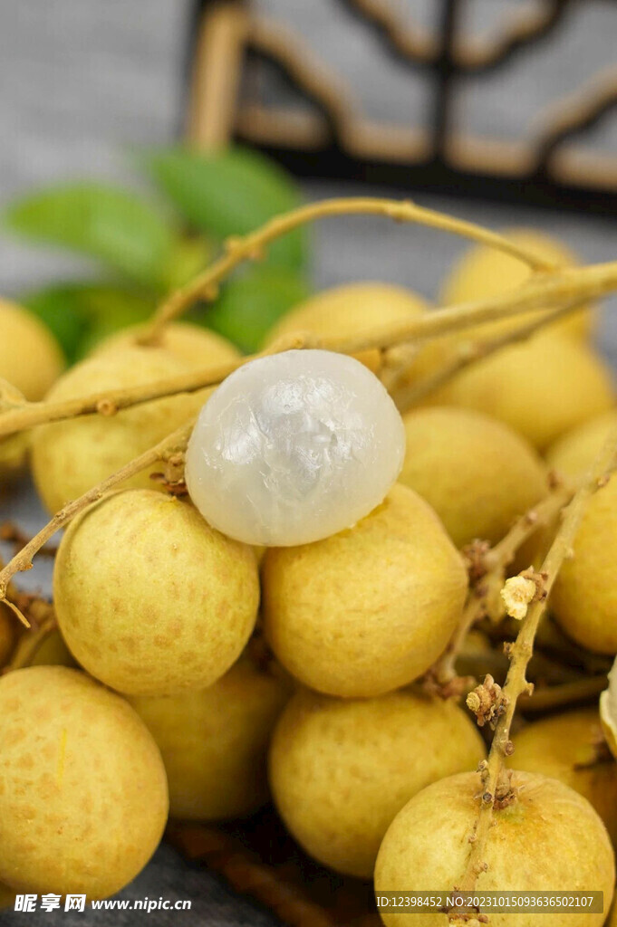桂圆