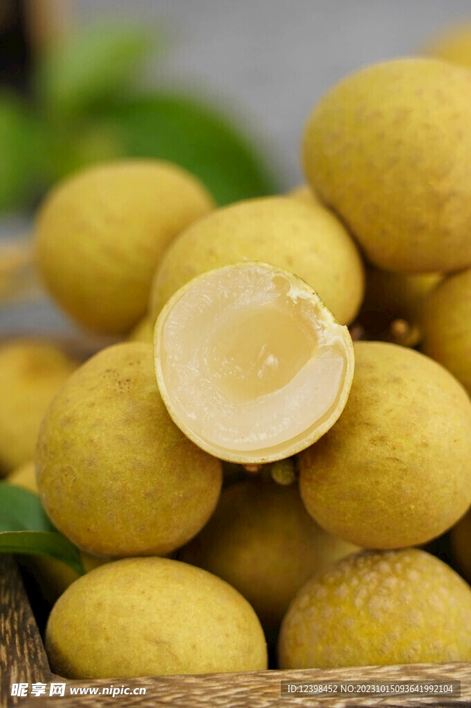 桂圆