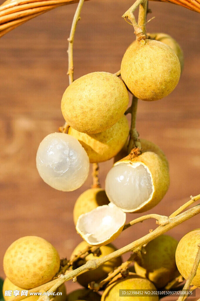 桂圆