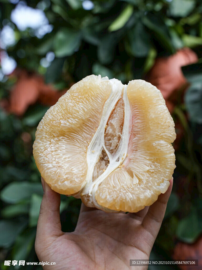 柚子