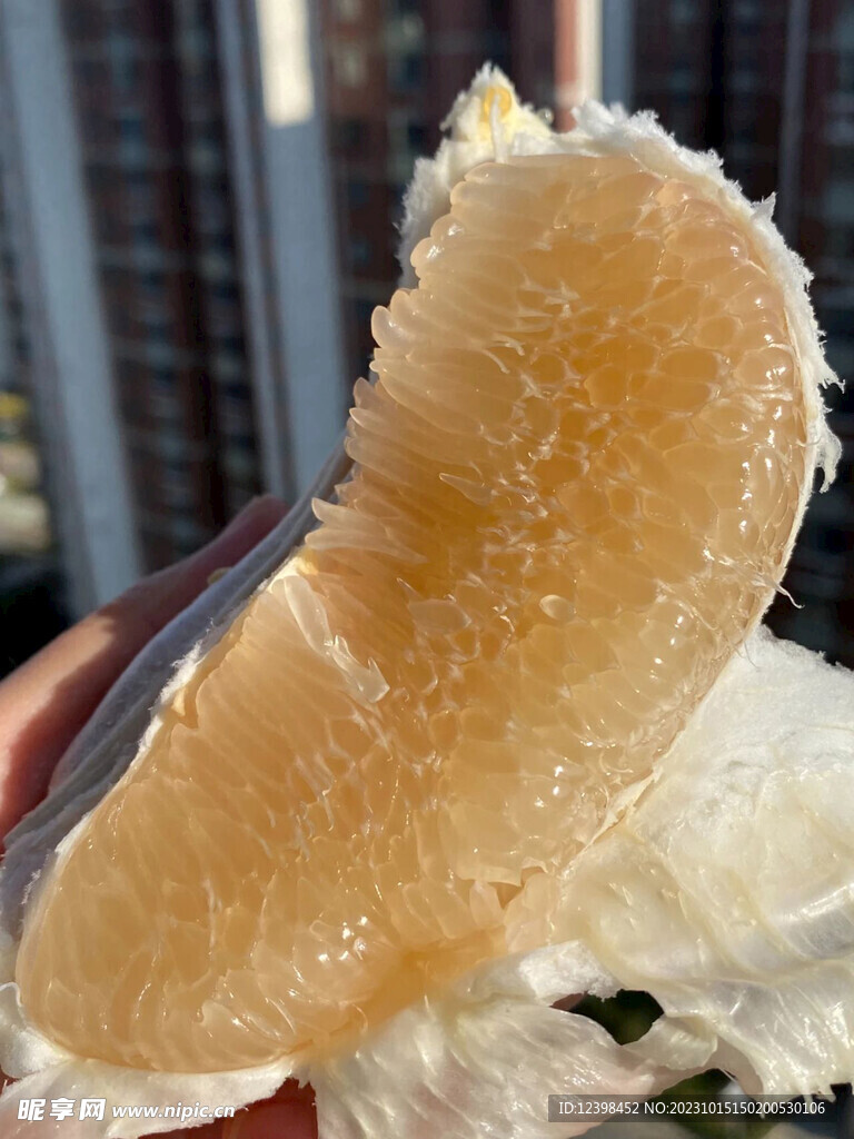 柚子
