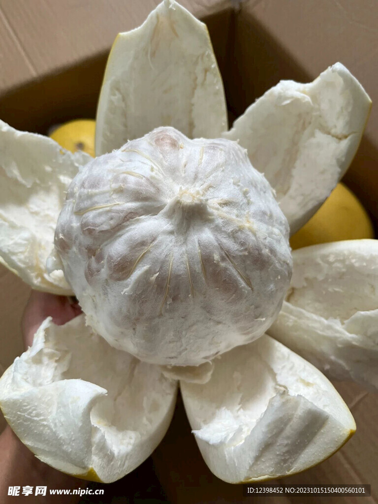 柚子