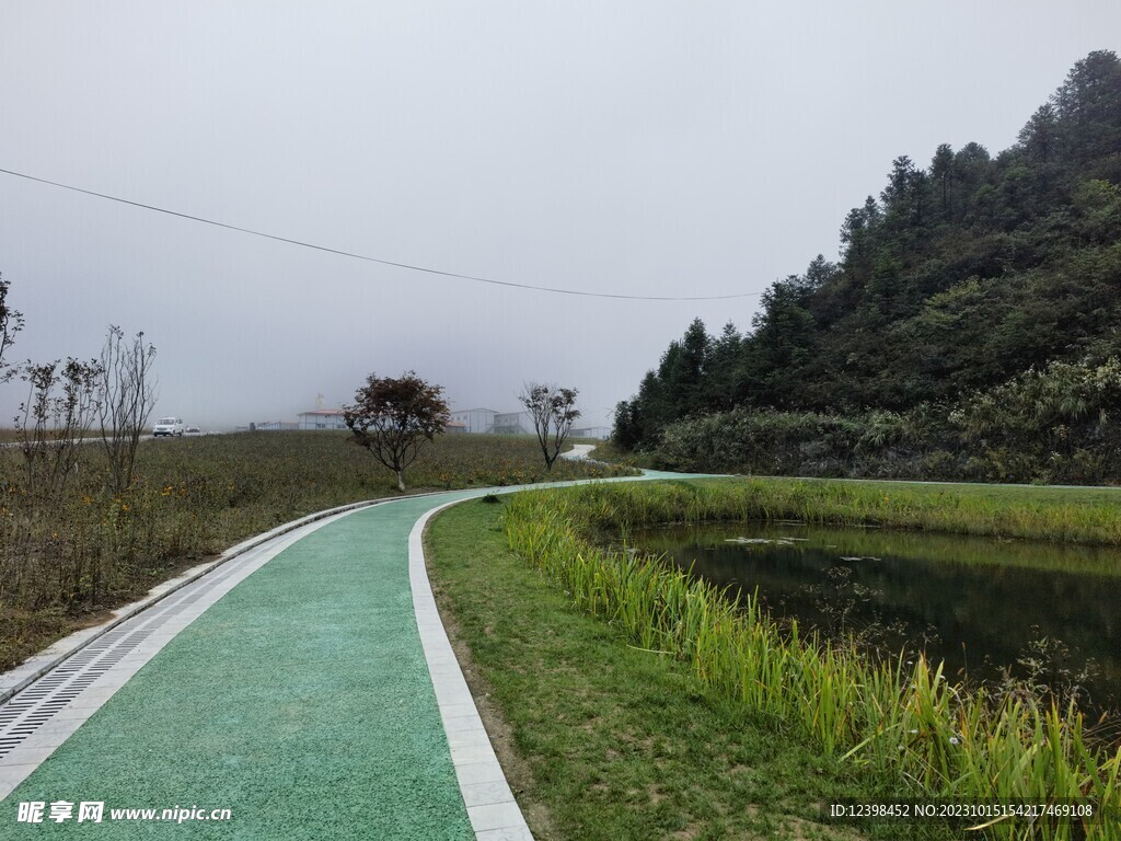 湖边彩色步道