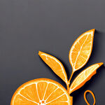 橘子线条画，有完整的橘子和橘瓣