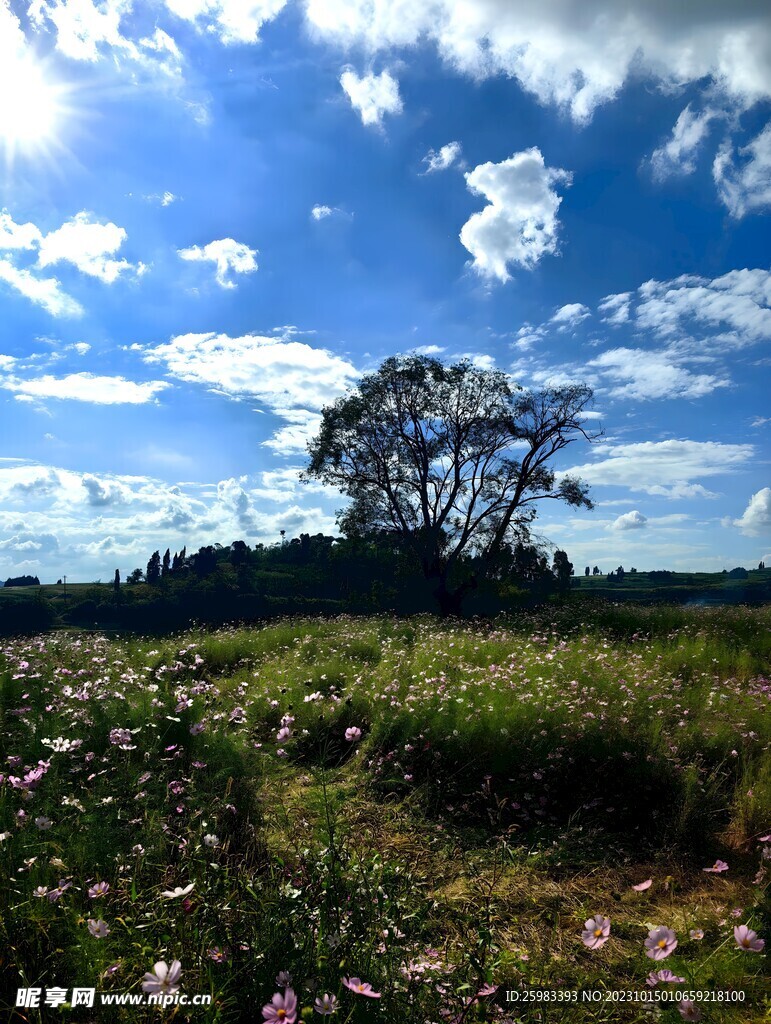 山区旅游