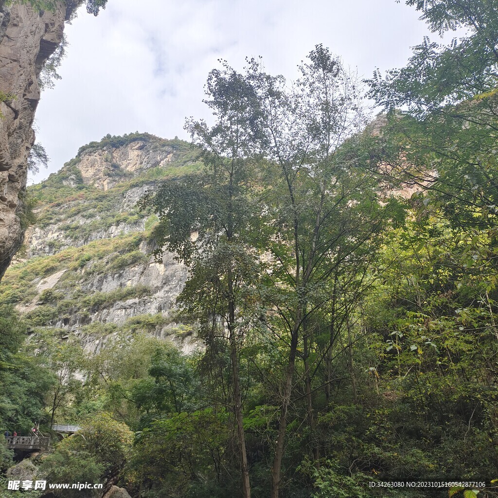 山水