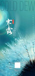寒露海报