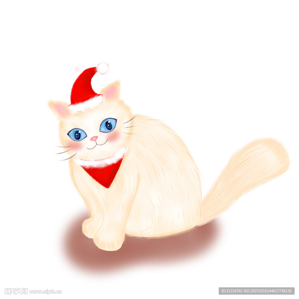 手绘猫插画