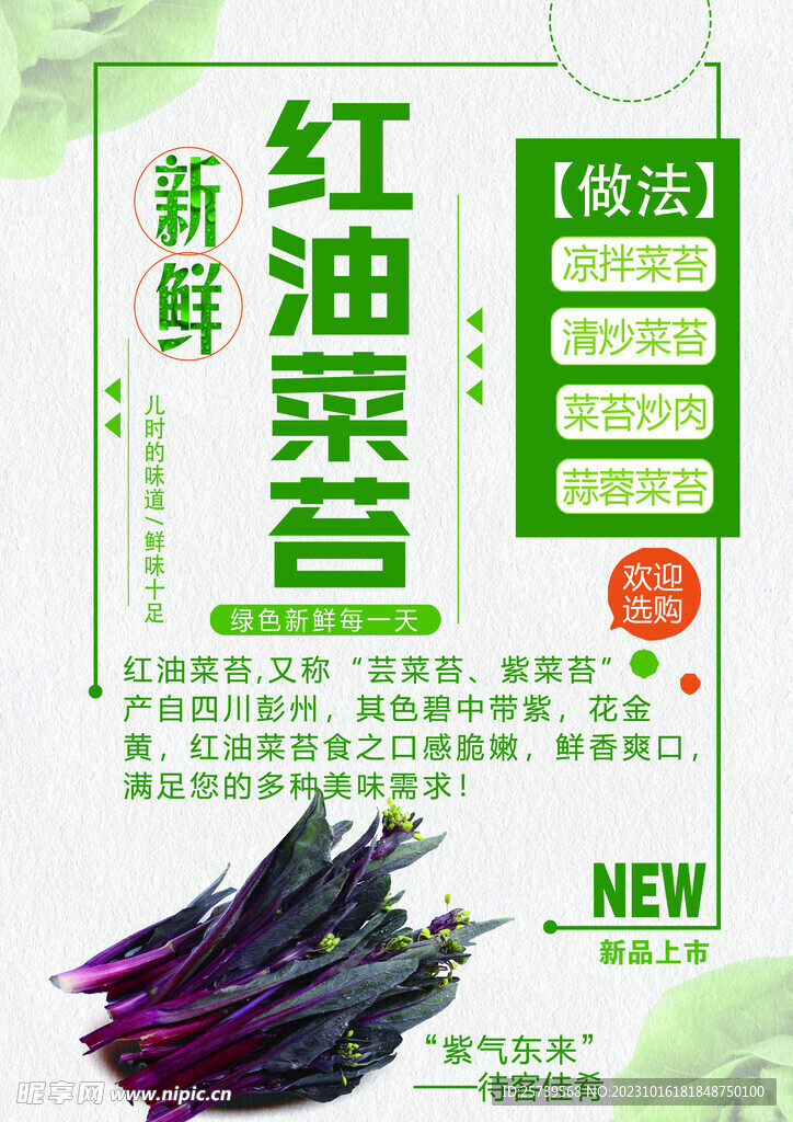 红油菜苔