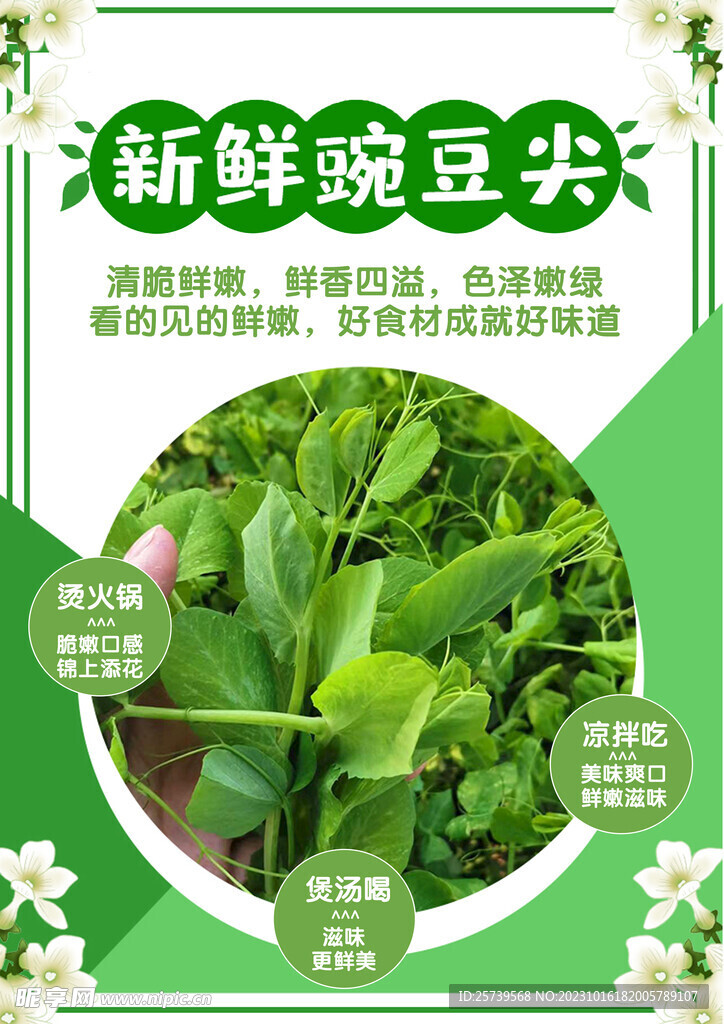 豌豆尖