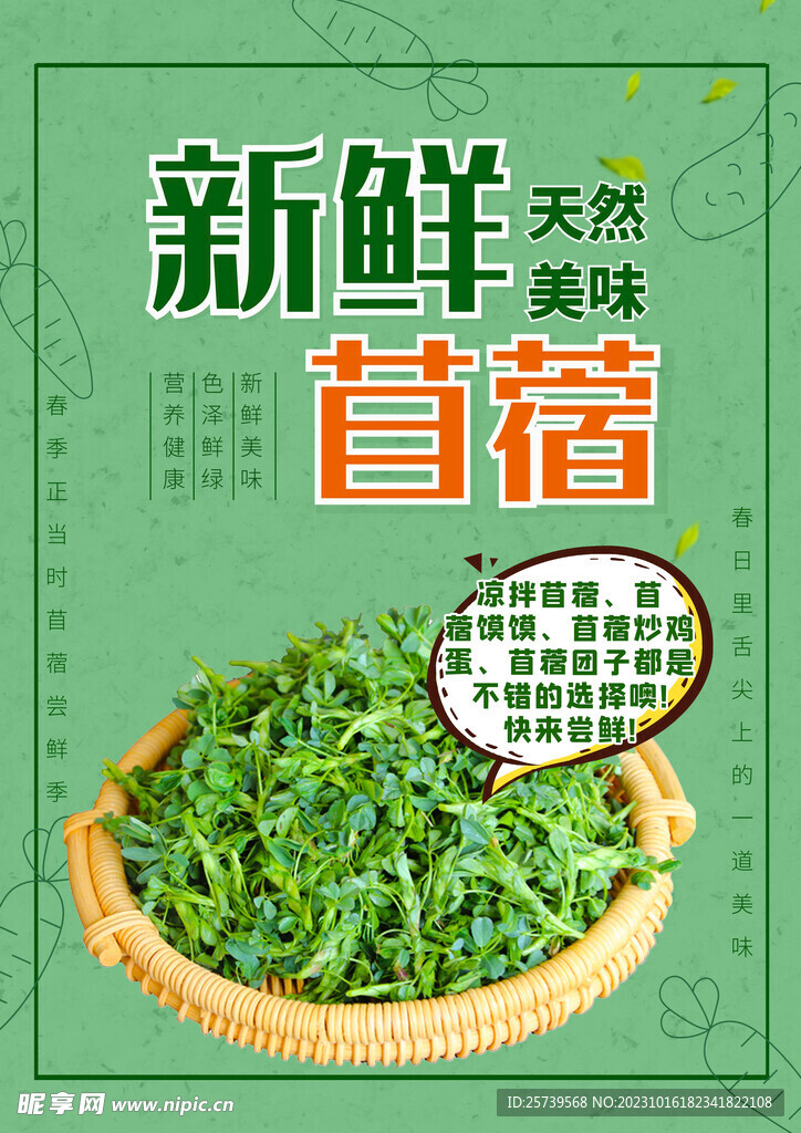 苜蓿