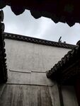 天井