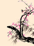 梅花