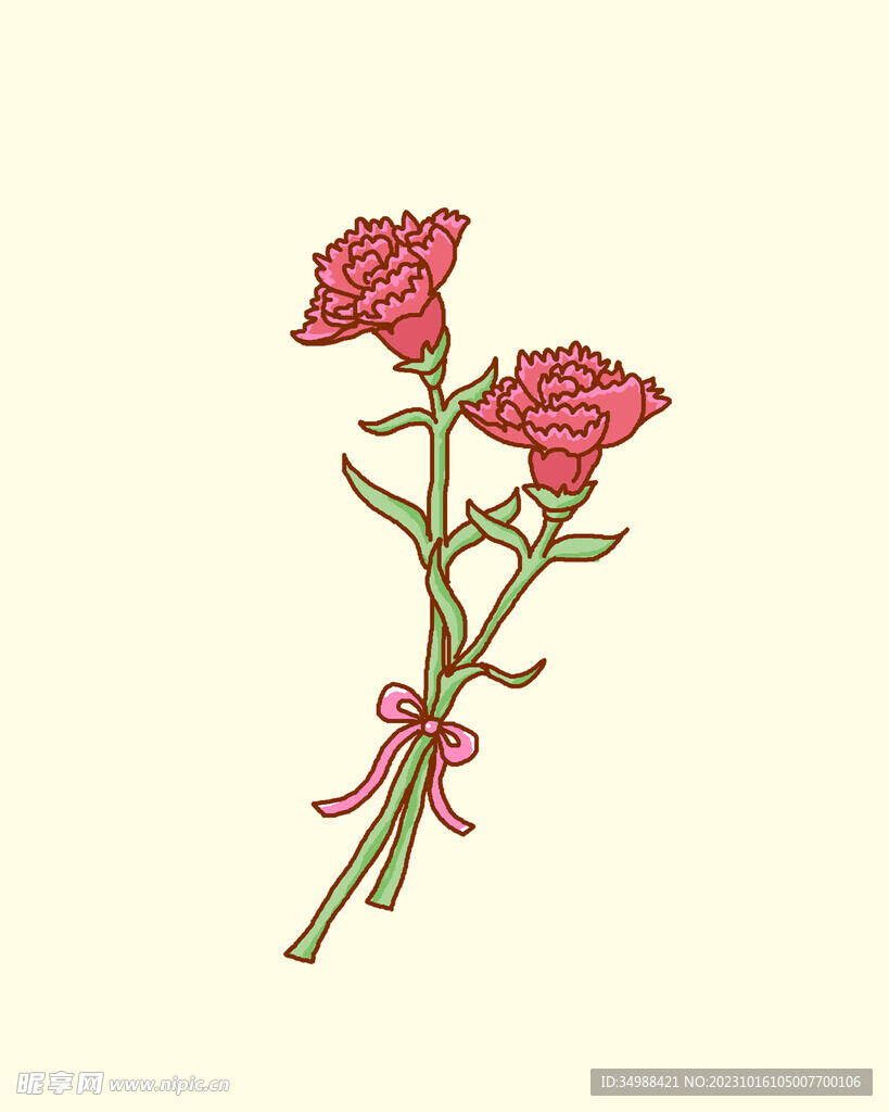 两支红色康乃馨花束手绘扁平插画