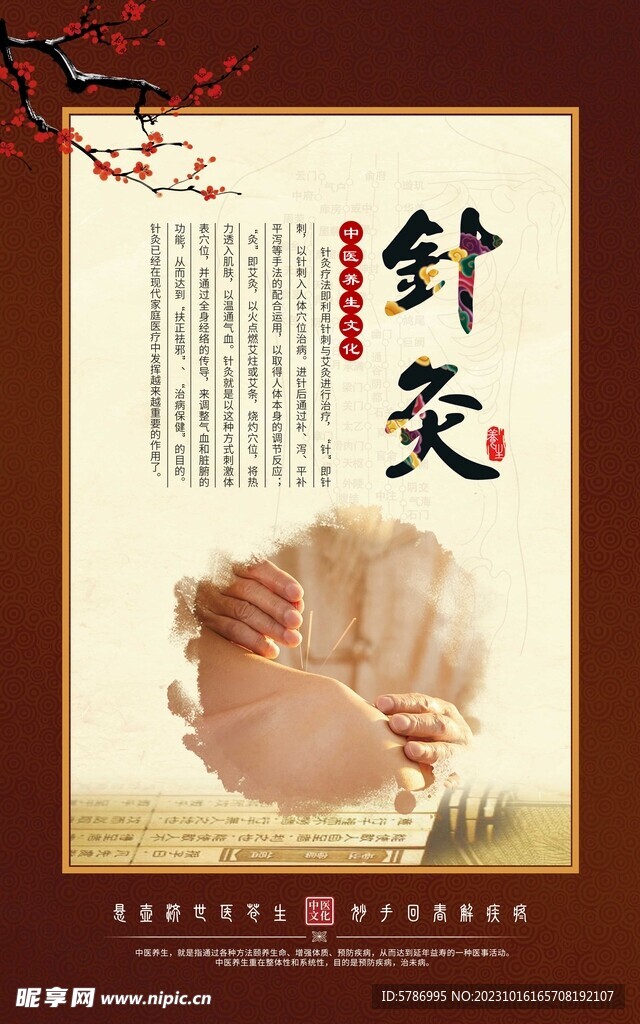中医养生文化