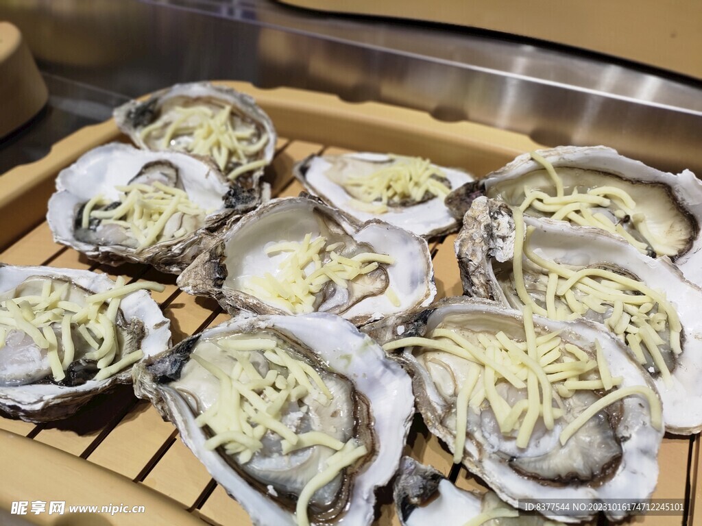 生蚝