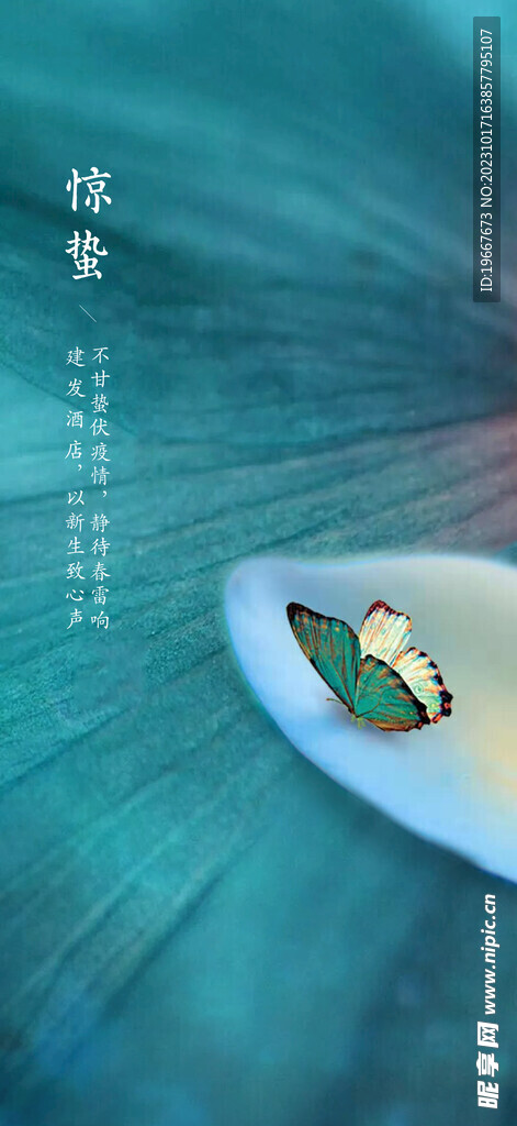 惊蛰海报 