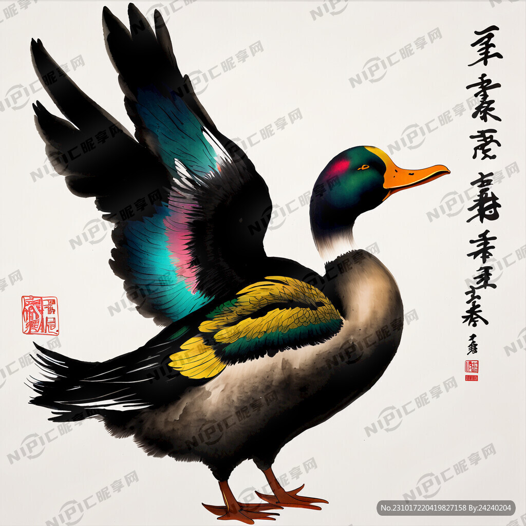 深色鸭子侧面 抬头展翅