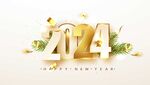 2024年