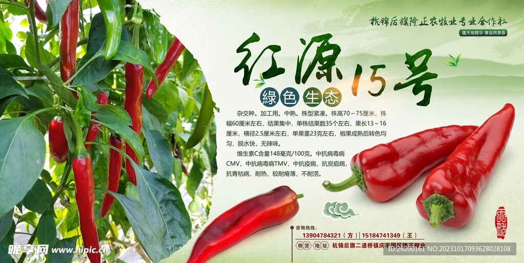 红源15号